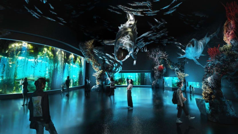 Resorts World Sentosa lên kế hoạch mở rộng thủy cung SEA Aquarium, công viên Universal Studios và cải tạo các khách sạn