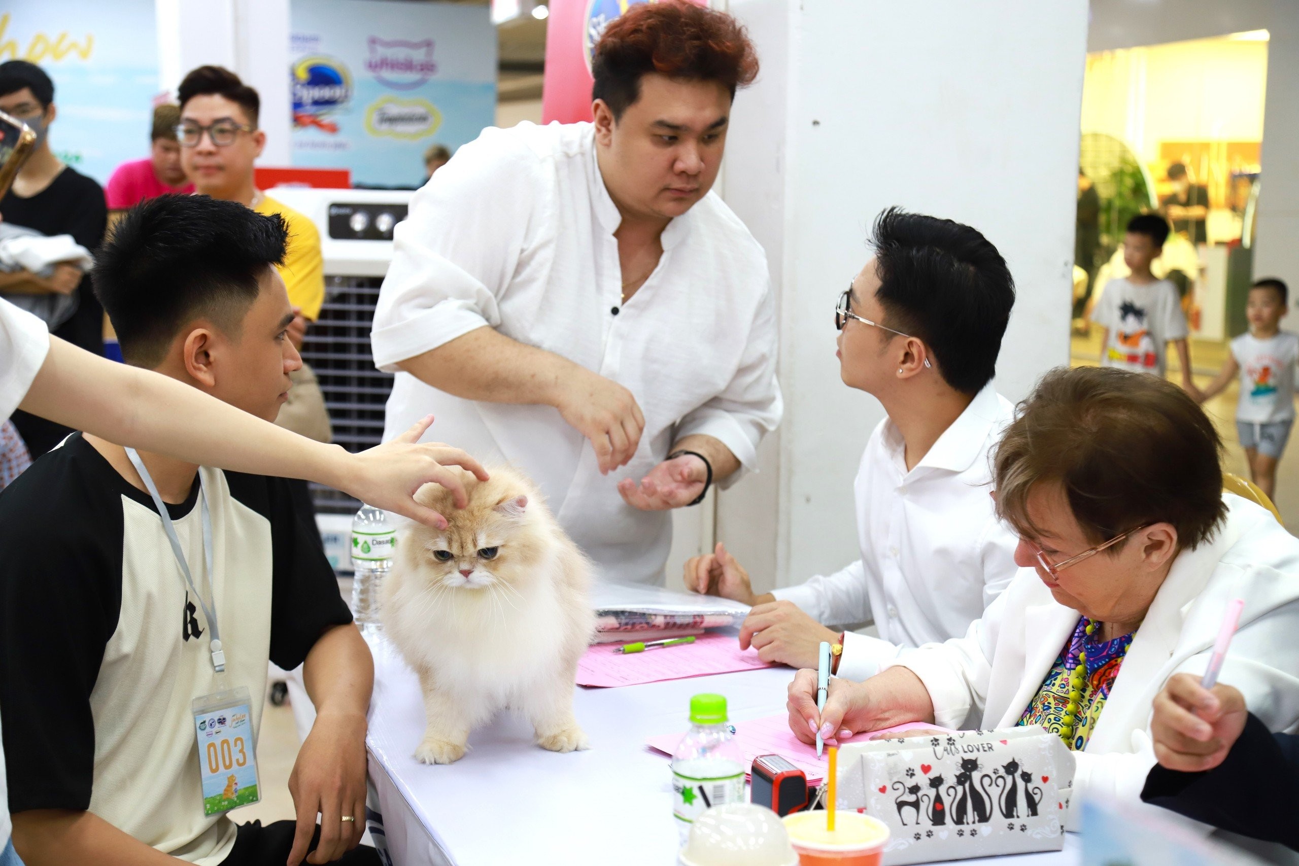 Gần 90 chú mèo thi sắc đẹp tại cuộc thi Jubilee Cat Show