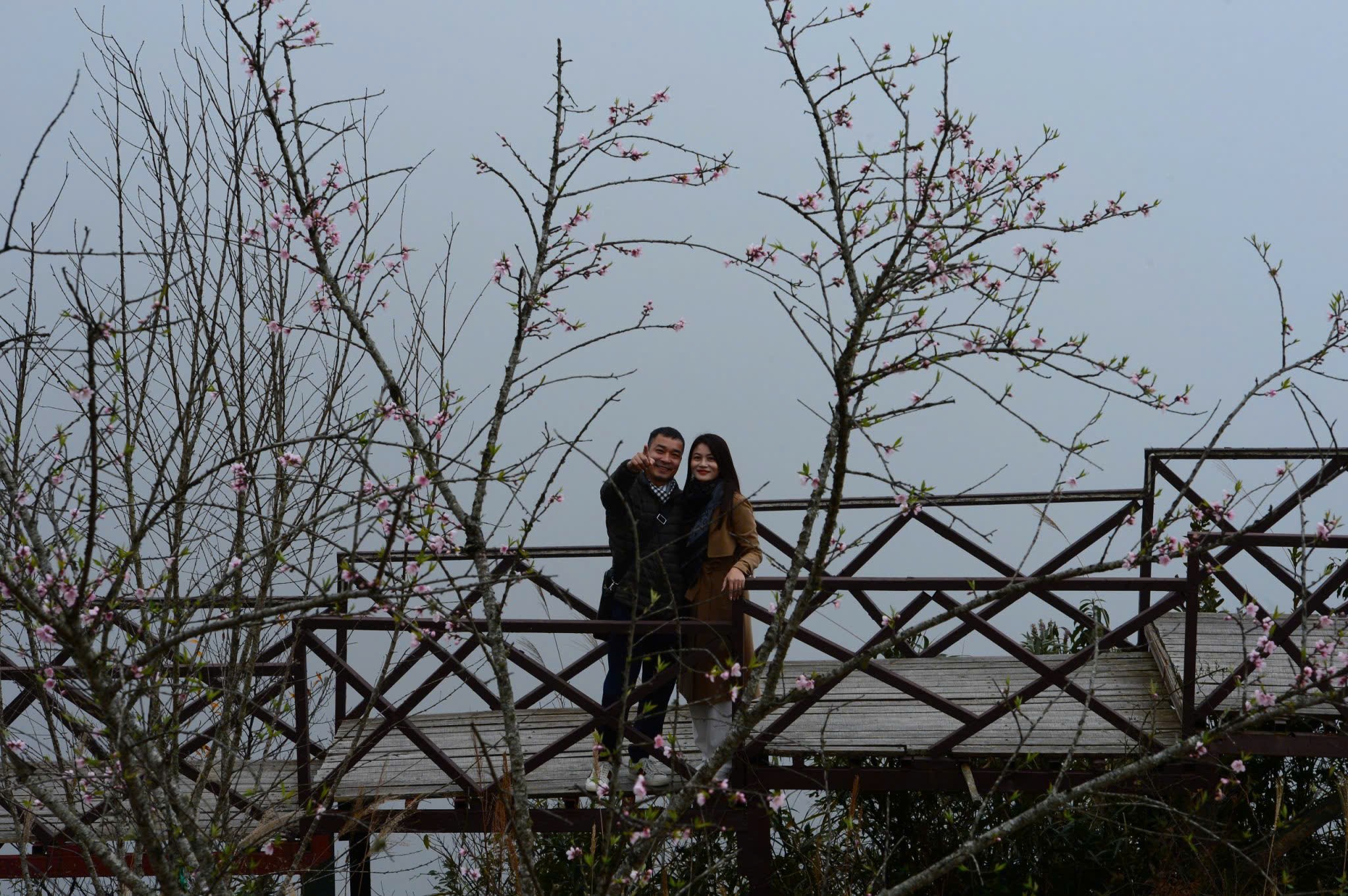 Chạm mây ở Ô Quy Hồ