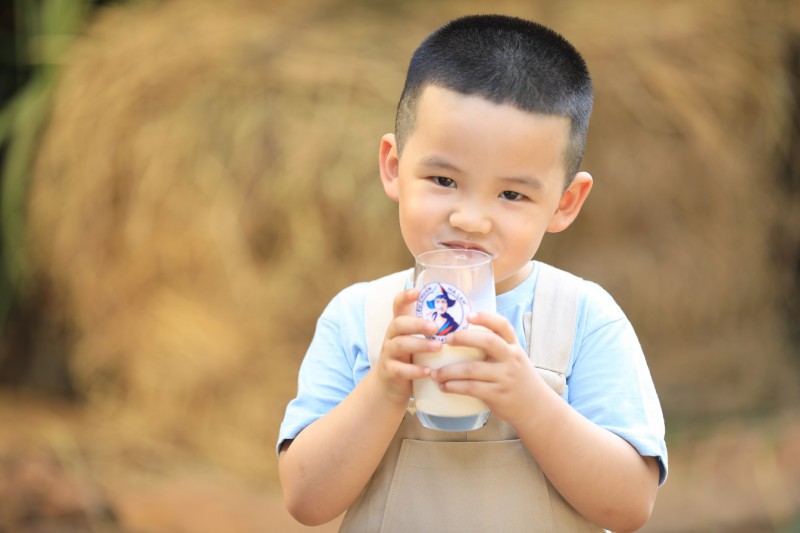 Cải tiến liên tục - chìa khóa đưa Cô Gái Hà Lan vào top đầu ngành sữa