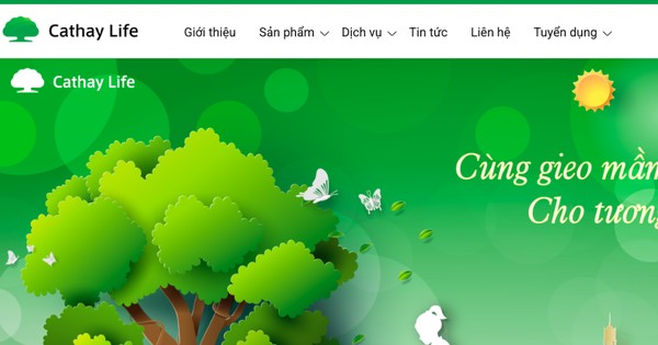 Công bố kết luận thanh tra 2 doanh nghiệp bán bảo hiểm nhân thọ qua ngân hàng: Bảo hiểm nhân thọ Mirae Asset Prévoir và Bảo hiểm nhân thọ Cathay Việt Nam