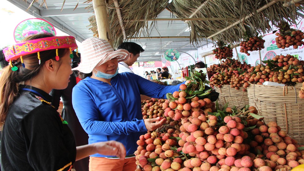 Sản phẩm đầu tiên của Việt Nam được bảo hộ chỉ dẫn địa lý tại Nhật