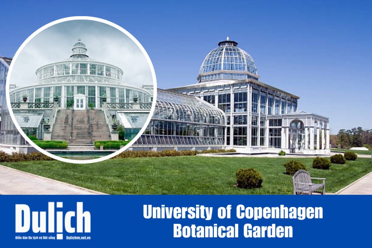 Du lịch Đan Mạch: Hấp dẫn Vườn Bách thảo Đại học Copenhagen - University of Copenhagen Botanical Garden