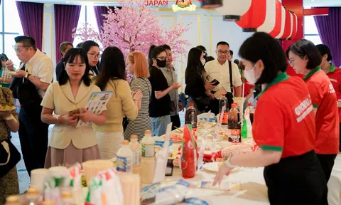 Triển lãm ẩm thực Nhật Bản: Cầu nối văn hóa và kinh doanh tại Hà Nội