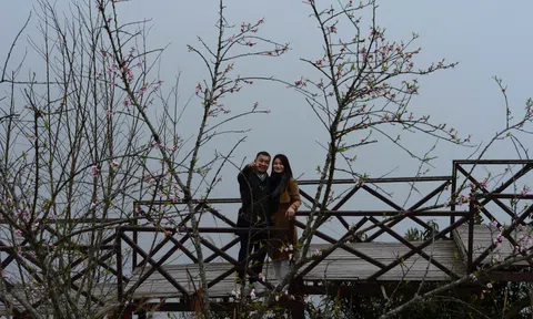 Chạm mây ở Ô Quy Hồ