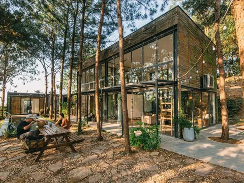 U Lesa Retreat kinh doanh từ “máu thịt” rừng phòng hộ?