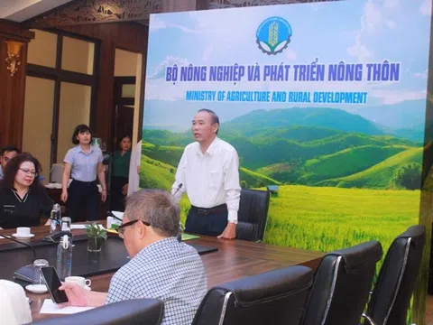 Trong nửa đầu năm 2024, thặng dư thương mại ngành nông lâm ngư nghiệp đạt hơn 8 tỷ USD