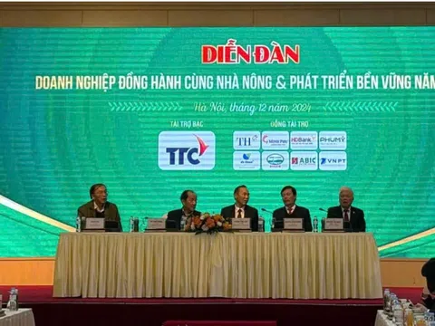 Xuất khẩu nông sản Việt Nam: Hướng đi bền vững và nhiều điểm sáng