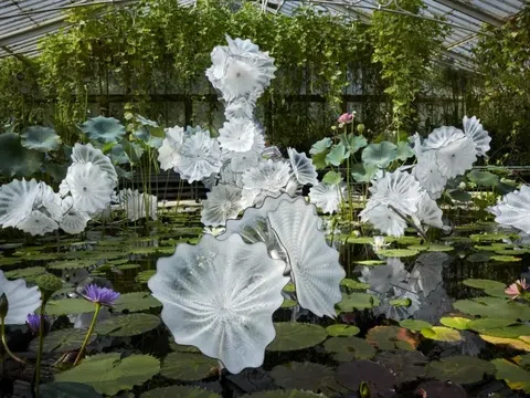 Triển lãm điêu khắc của Chihuly tại Gardens by the Bay