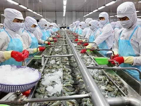 Đầu tư công nghệ giải 'điểm nghẽn' cho chế biến nông sản