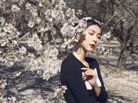 Ngọc Quyên check-in vườn hạnh nhân nổi tiếng ở miền nam California