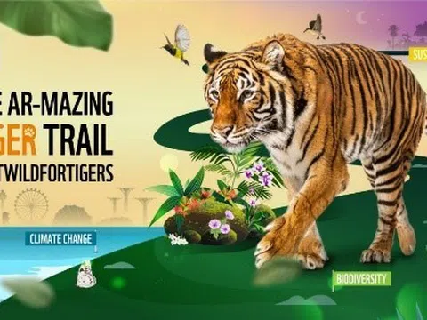 WWF-Singapore ra mắt cung đường AR-mazing Tiger Trail 