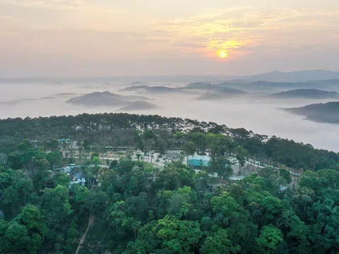 "Bảo tồn rừng để du lịch Măng Đen phát triển bền vững"