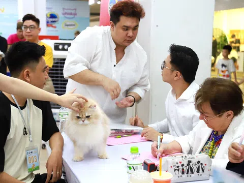 Gần 90 chú mèo thi sắc đẹp tại cuộc thi Jubilee Cat Show