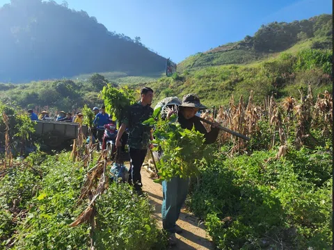 Góp Lá Vá Rừng hoàn thành mục tiêu trồng 30.000 cây rừng cho Tây Bắc nhằm thúc đẩy Du lịch bền vững