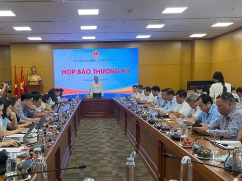 Ngành nông sản Việt ‘bứt tốc’ trong 6 tháng đầu năm 2025