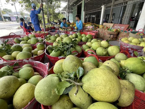 Gỡ khó để nông sản ĐBSCL ‘cất cánh’ vươn xa
