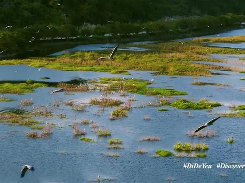 Ra mắt video vẻ đẹp biển đảo Việt Nam