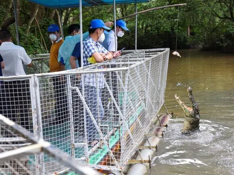 TP HCM tổ chức thêm 8 tour tri ân lực lượng chống dịch