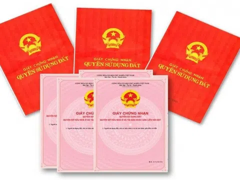 Mua sổ đỏ giả mang đi lừa đảo lĩnh án 6 tháng tù