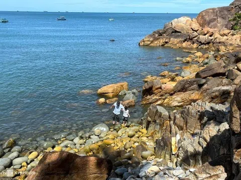 '24 giờ phượt ở Quy Nhơn'