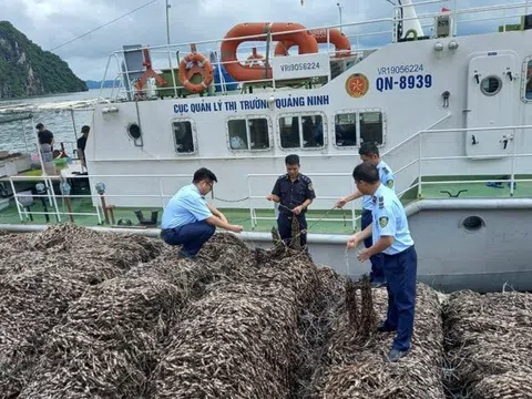 Phát hiện 63 tấn hàu giống không rõ xuất xứ