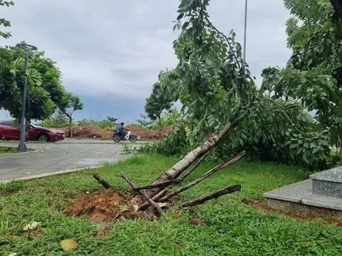 Đà Nẵng tạm dừng tham quan bán đảo Sơn Trà do mưa lớn
