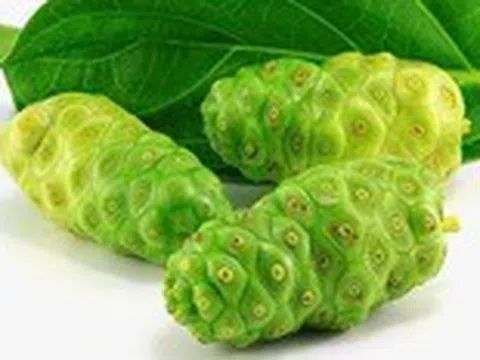 Ăn trái nhàu sẽ đỡ bị đau xương khớp, ăn được, ngủ được?