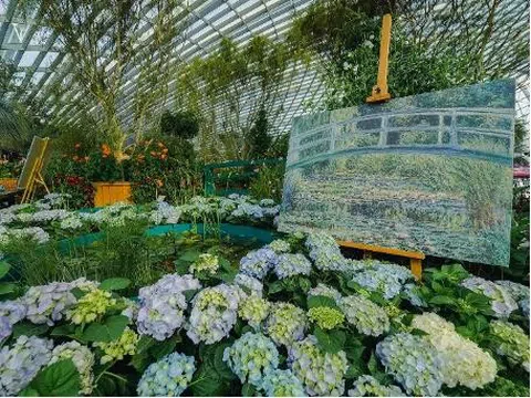 Ấn tượng về Triển lãm Impressions of Monet tại Gardens by the Bay