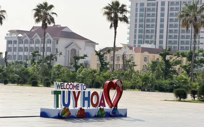 Cá ngừ Đắk Lắk - “Tinh hoa câu vàng”: Cú hích mới cho du lịch biển dịp lễ 30/4 - 1/5/2026